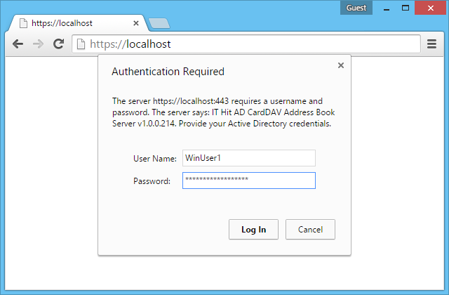 Provide your domain credentials in the the login dialog.